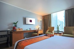 IMG_2788-Business-Deluxe