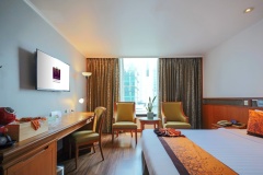 IMG_2789-Business-Deluxe