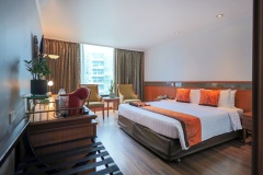IMG_2792-Business-Deluxe