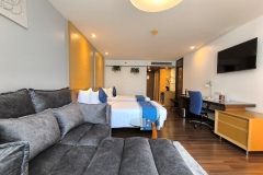 Premier-Connect-Gallery-1